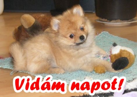 005_vidam_napot.jpg