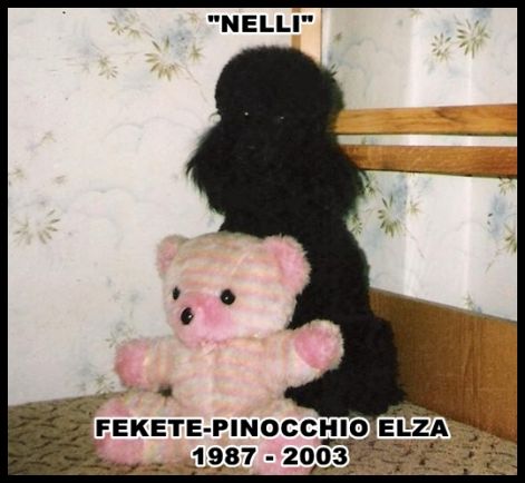 az_igaz_barat.jpg