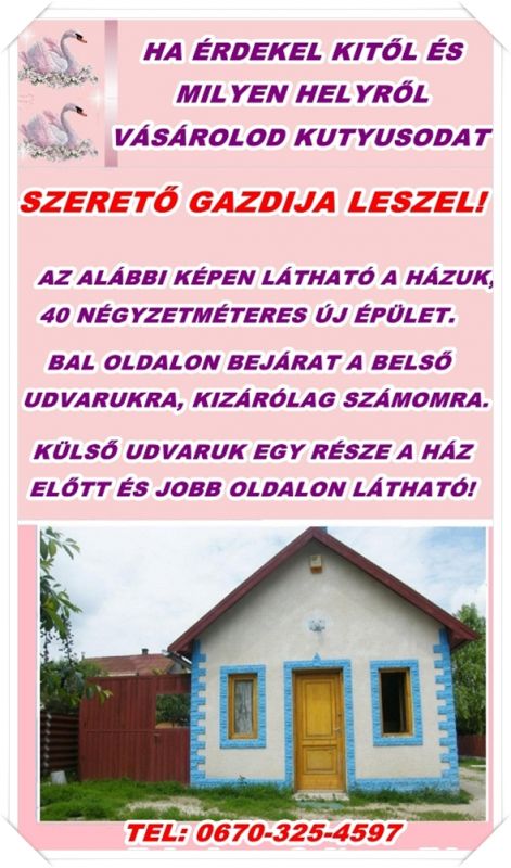 bemutatas_kezdolap.jpg