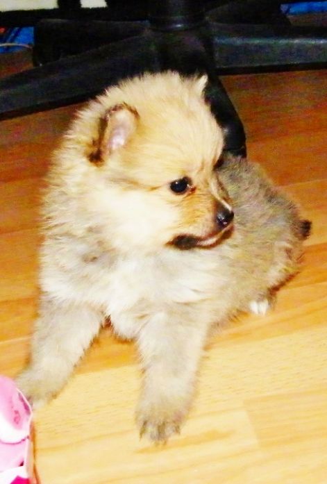 betty_kisfia_001.jpg
