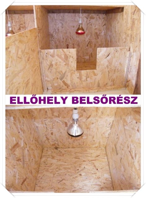 ellohely.jpg