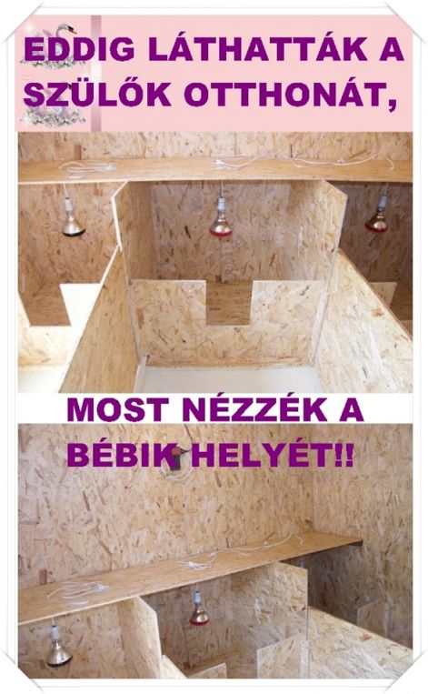 ellohely_bemutatas.jpg