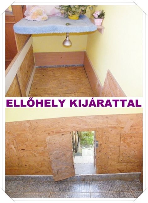 ellohely_kijarat.jpg