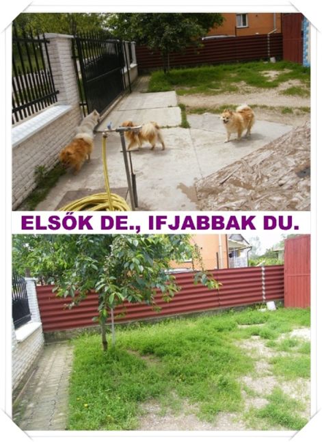 elso_de._ifjabb_du.jpg