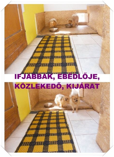 ifjabbak_ebedlo_kozlekedo_kijarat.jpg