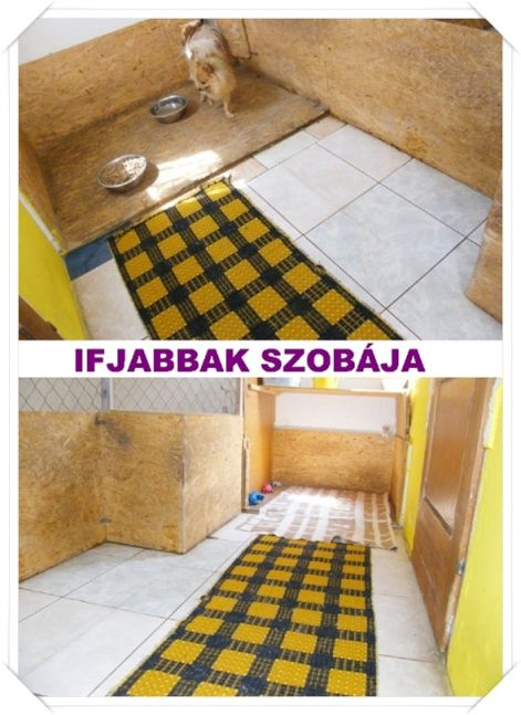 ifjabbak_lakasa.jpg