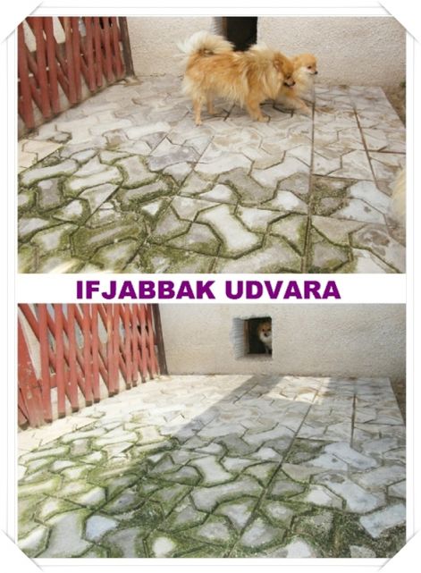 ifjabbak_udvar.jpg