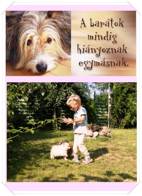 tiz_jotanacs_kepek_01.jpg tiz_jotanacs_kepek_01.jpg